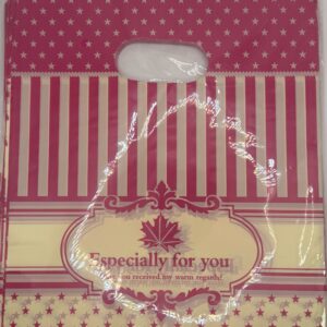 Bolsa plastica 20x25 cm - Imagen 1