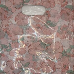 Bolsa plastica 20x25 cm - Imagen 1