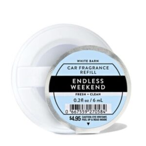 AMBIENTADOR PARA VEHICULO ENDLESS WEEKEND - Imagen 1