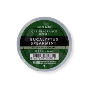 AMBIENTADOR PARA VEHICULO EUCALYPTUS - Imagen 1